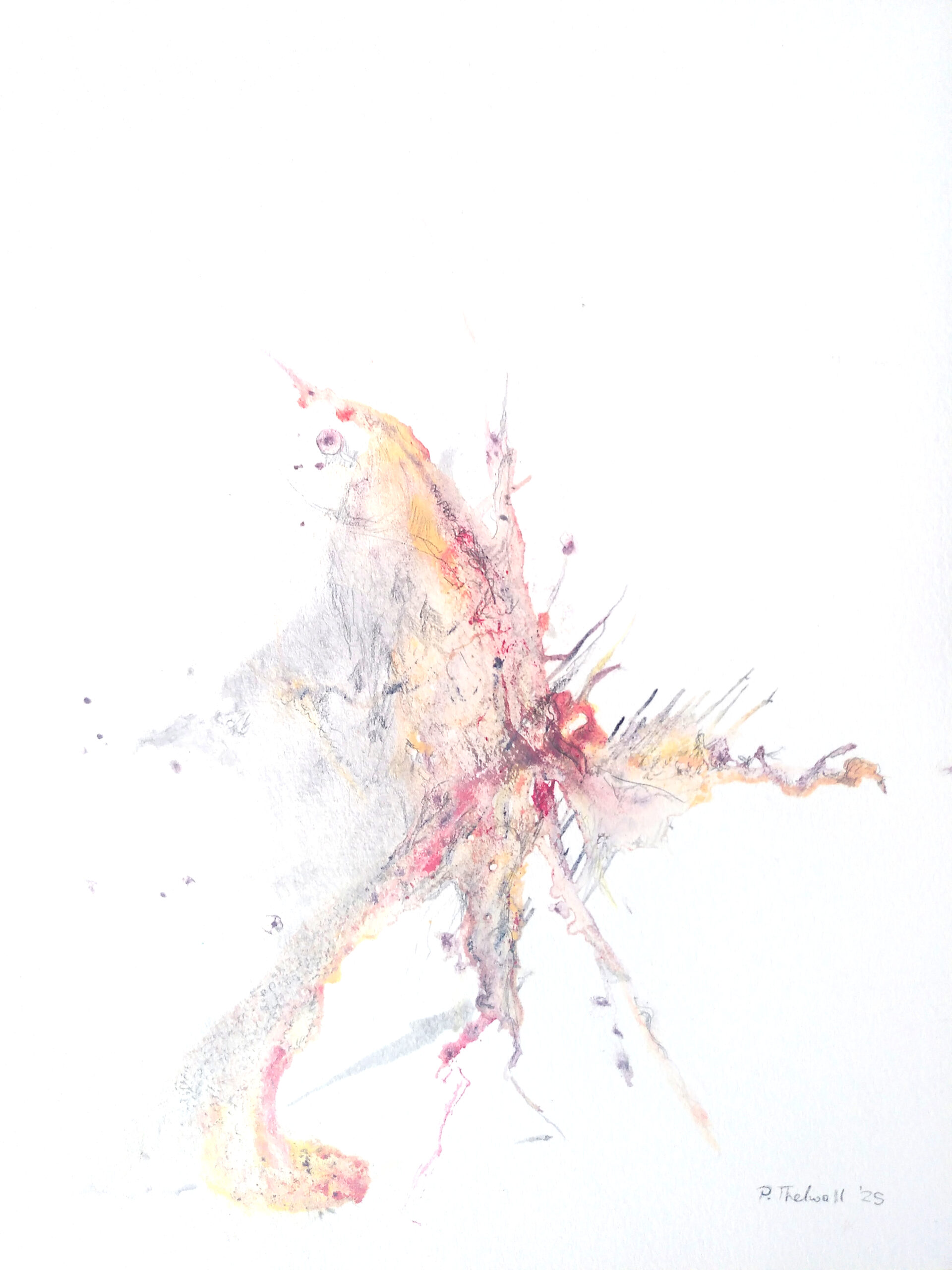 THE SIX FOOT GALLERY INTERVIEW: Polly Thelwall