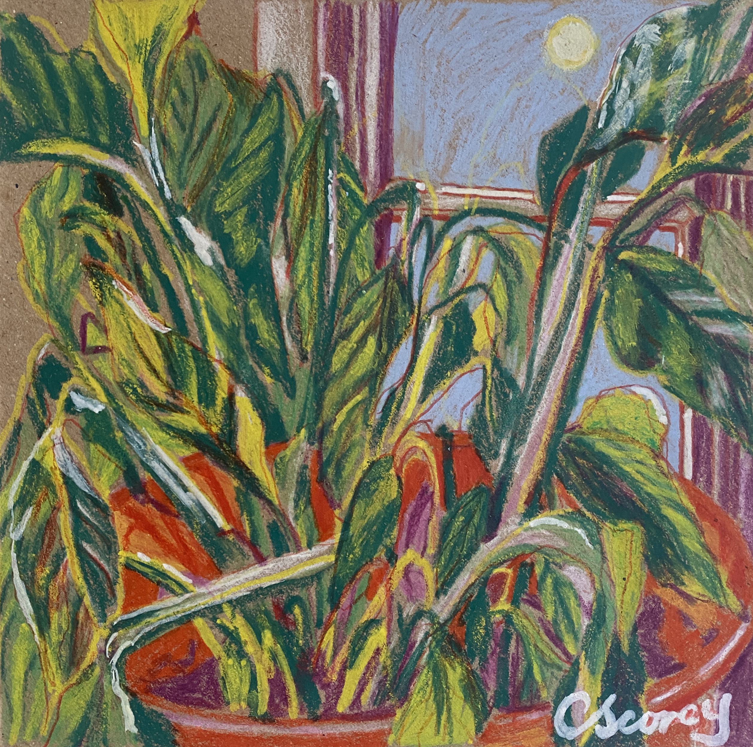 THE SIX FOOT GALLERY INTERVIEW: Cerys Scorey
