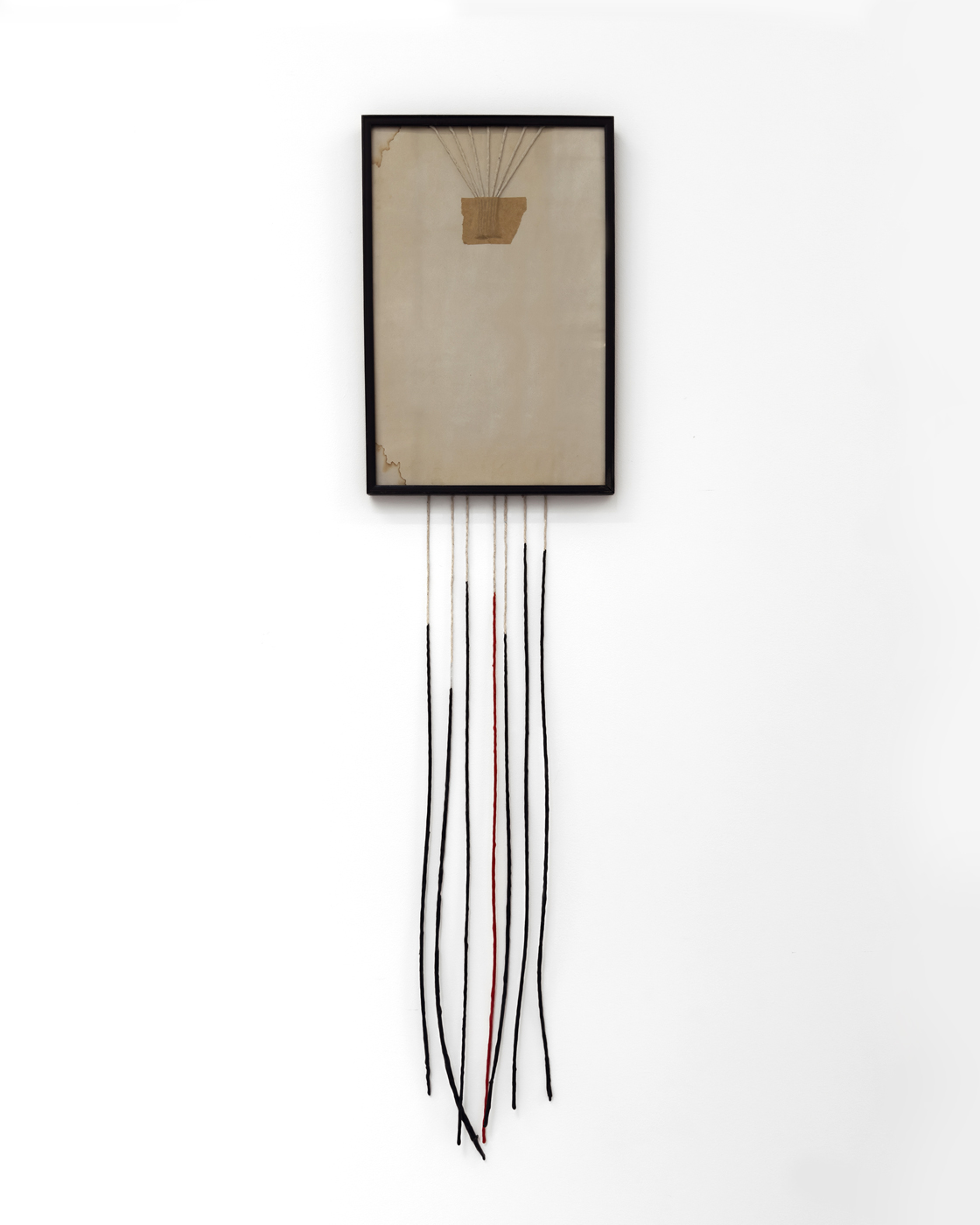 THE SIX FOOT GALLERY INTERVIEW: Noru Innes