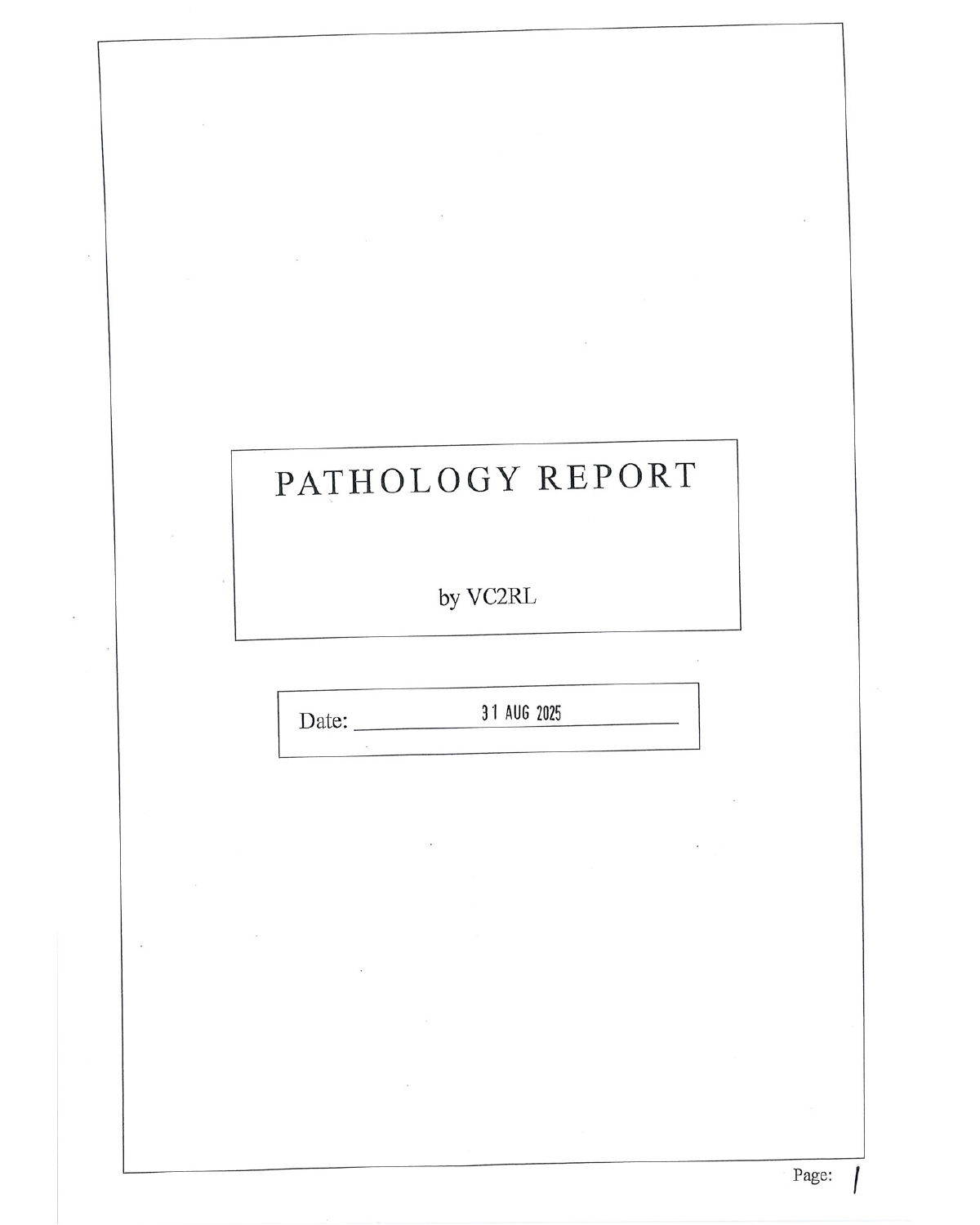 THE SIX FOOT GALLERY INTERVIEW: Noa Amson & Rory Spencer (VC2RL)