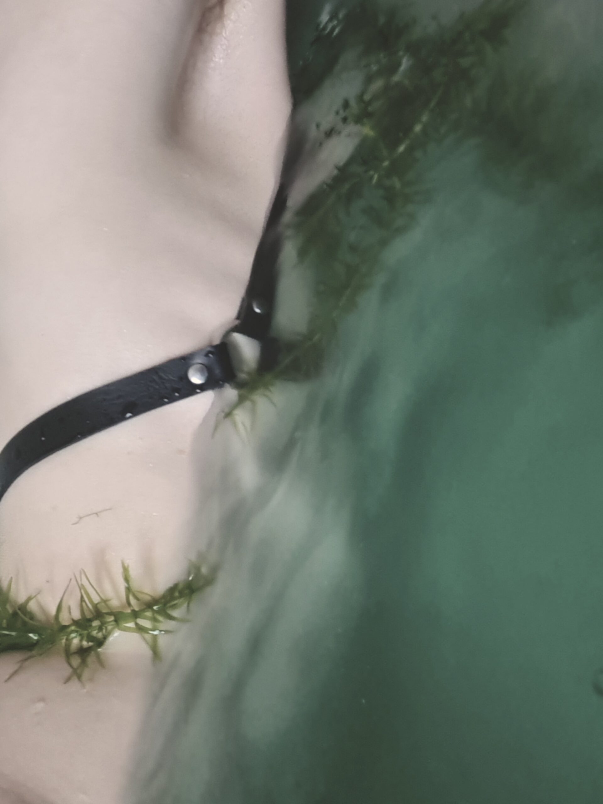 THE SIX FOOT GALLERY INTERVIEW: Shona McDermott